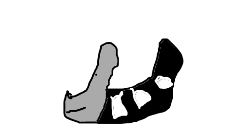 a black and white drawing of a rhinoceros 's mouth