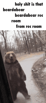 a bear standing on its hind legs in front of a window with a caption that says holy shit is that beardabear