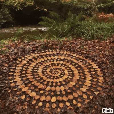 a circular pattern of leaves on the ground with pixiz written on the bottom right