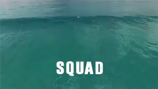 Swimming Deep GIF - Dolphins Squad Swimming GIFs