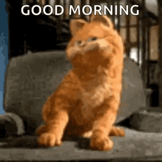 garfield the cat is sitting on a couch with the words `` good morning '' written on it .