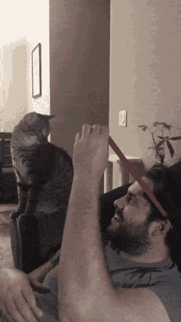 a man with a beard is playing with a cat while wearing a red headband