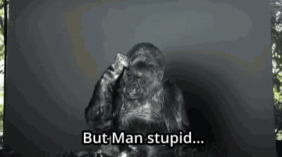 Man Stupid Koko GIF - Man Stupid Koko Gorilla GIFs