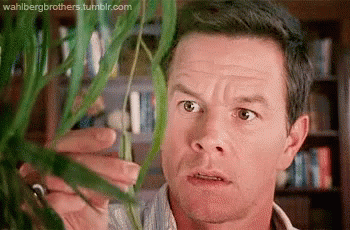 Mark Wahlberg The Happening GIF - Mark Wahlberg The Happening Plant GIFs