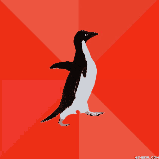 a black and white penguin standing on a red background
