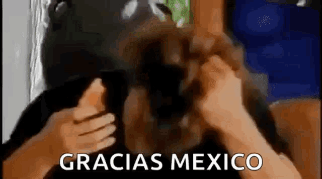 a person wearing a mask is giving a thumbs up and the words gracias mexico are on the bottom of the screen .