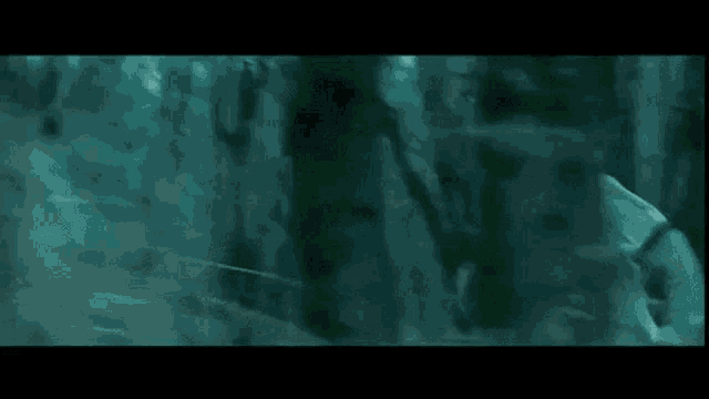 a blurry picture of a person in a forest .