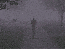 a silhouette of a man walking in a field with trees in the background