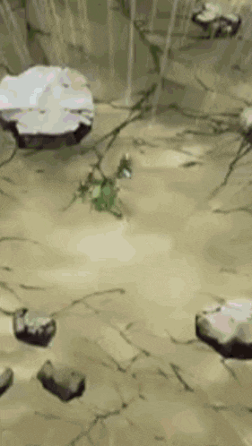 a frog is sitting on top of a rock in the dirt .