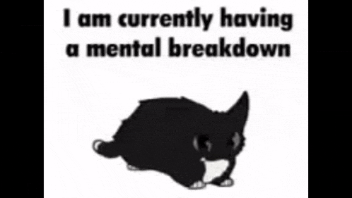 a black and white cat with the words `` i am currently having a mental breakdown '' written above it .