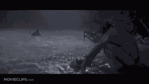 a movie clip from movieclips.com shows a man kneeling in a river