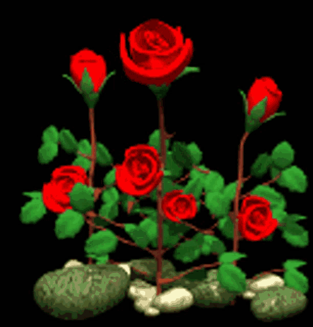 a bunch of red roses with green leaves growing out of rocks