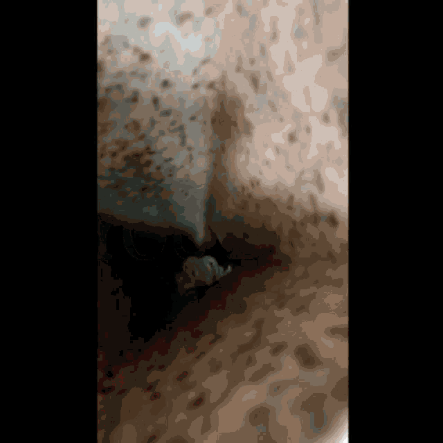 a close up of a dirty wall with a few spots of dirt