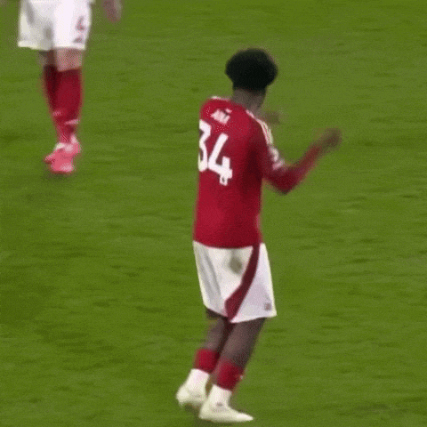 a soccer player wearing a red jersey with the number 34 on it is dancing on a field .
