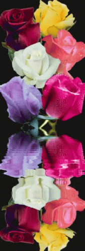 καλησπερα Flowers GIF - καλησπερα Flowers Reflection GIFs