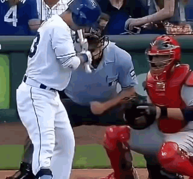 Baseball Hit By The Ball GIF - Baseball Hit By The Ball Intentionally GIFs