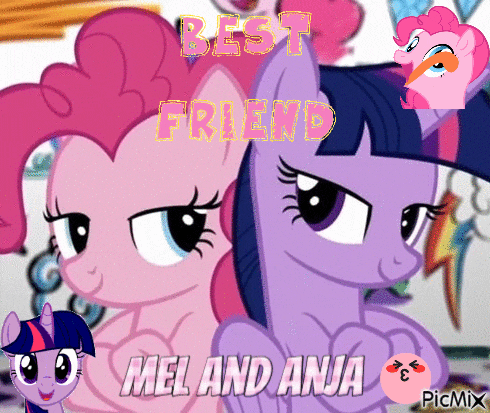 a picture of pinkie pie and twilight sparkle that says best friend