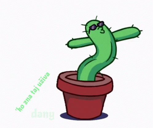Ko Zna Dany GIF - Ko Zna Dany Cactus GIFs