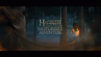 Harry Potter GIF - Harry Potter Universal GIFs
