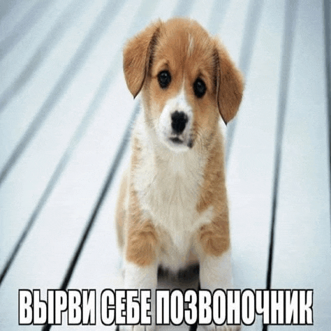 a small brown and white puppy is sitting on a wooden deck with a caption in russian