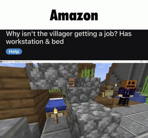 Amazon Villager GIF - Amazon Villager Minecraft GIFs