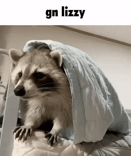 a raccoon is wrapped in a blue blanket with the words gn lizzy below it