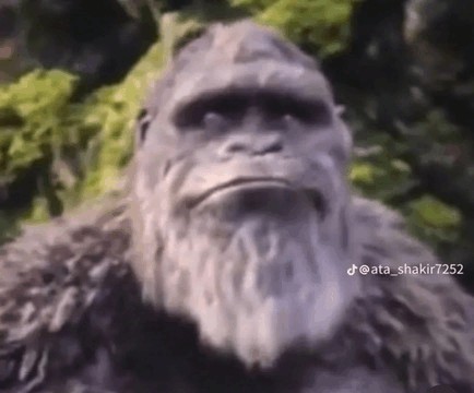 King Kong Monkey Meme - King kong Monkey - Discover & Share GIFs