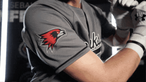 a baseball player wearing a gray jersey with a red eagle on the sleeve
