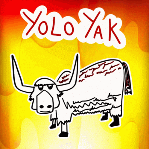 Yolo Yak Veefriends GIF - Yolo Yak Veefriends You Only Live Once GIFs