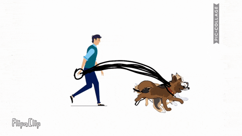 a man is walking a bunch of dogs on a leash with flipaclip written on the bottom right