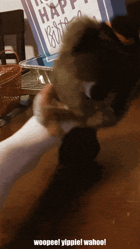 a picture of a cat with the words woopee yippie wahoo written on the bottom
