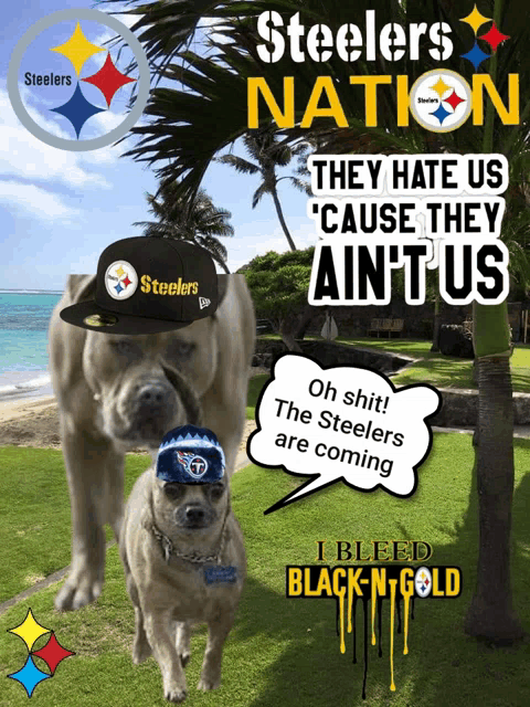 a poster that says steelers nation they hate us cause they aint us