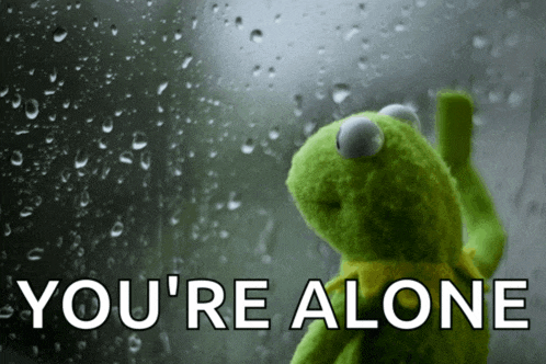 kermit the frog looking out a window with the words " you 're alone "