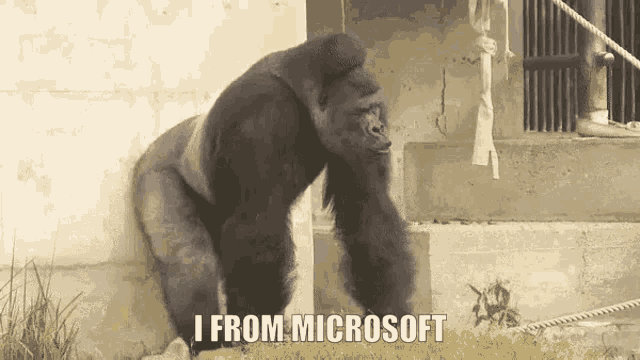 a gorilla standing in front of a building with the words " i from microsoft " on the bottom