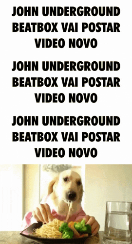 a picture of a dog eating spaghetti and broccoli with the words john underground beatbox vai postar video novo