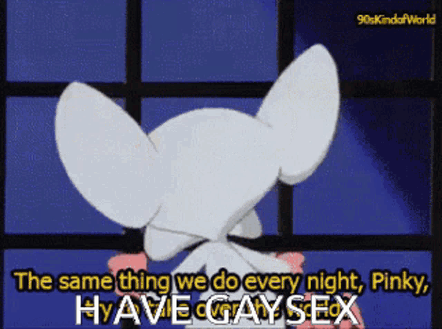 a pinky and the brain cartoon says the same thing we do every night pinky have gay sex