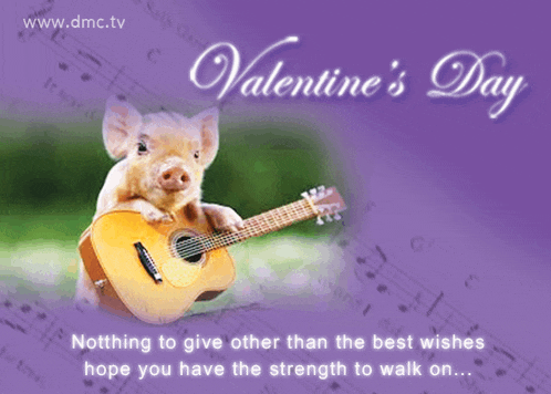 a valentine 's day greeting card with a pig playing a guitar