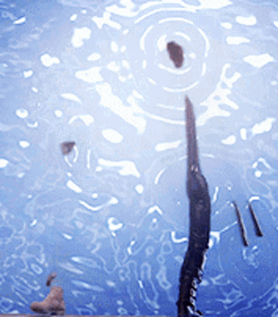 a person is doing a handstand in a pool of water with a rock in the background