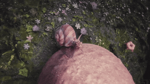 a snail is crawling on a rock in a field of flowers