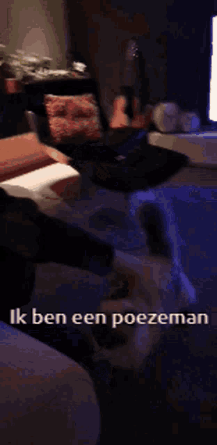 a man sitting on a couch with the words ik ben een poezenman on the bottom right