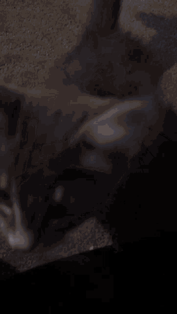 a close up of a cat 's face with a blurry background