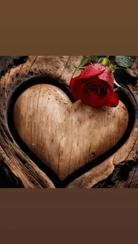 a wooden heart with a red rose in the center