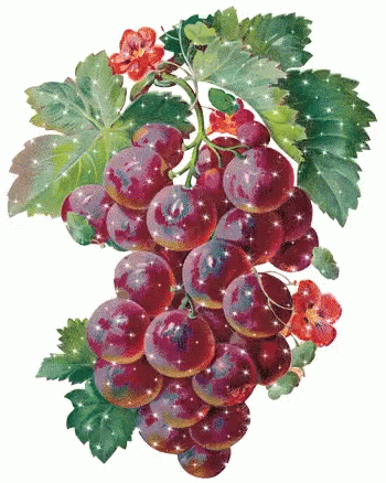 Grapes GIF