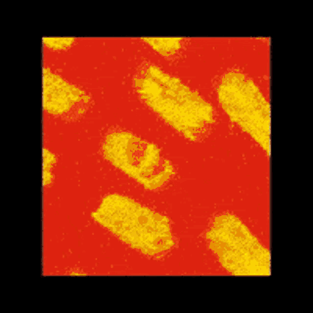 a red and yellow background with a black border .