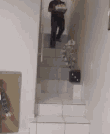a man is walking up a set of stairs holding a tray of food .