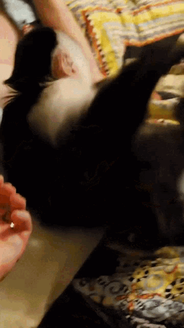George The Explorer Funny Animals GIF - George The Explorer Funny Animals Monkey GIFs