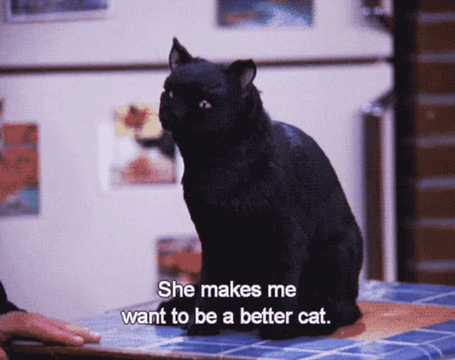 a black cat is sitting on a table with the words she makes me want to be a better cat