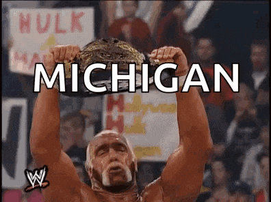 hulk hogan is holding a world heavyweight wrestling championship belt over his head .
