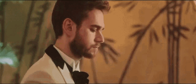 a man with a beard wearing a tuxedo and bow tie is standing in front of a bamboo wall .