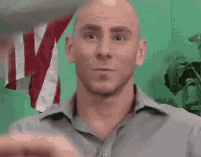 a bald man in a grey shirt is standing in front of a green wall .